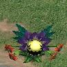 Blossomon, Ultimate, in the game