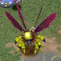 Flymon, Champion, in the game