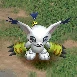 Gatomon, Champion, in the game
