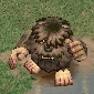 JungleMojyamon, Champion, in the game