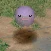 Poyomon (Shade), Fresh, in the game