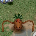 RedVegiemon, Champion, in the game