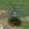 Sandyanmamon, Champion, in the game