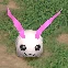 Tokomon X, In-Training, in the game