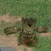 Woodmon, Champion, in the game